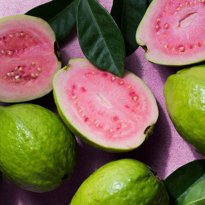 KORRES GUAVA Showergel 1+1 Set Rabatt