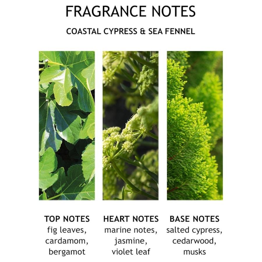 Coastal Cypress & Sea Fennel Bath & Shower Gel von Molton Brown Top Angebot