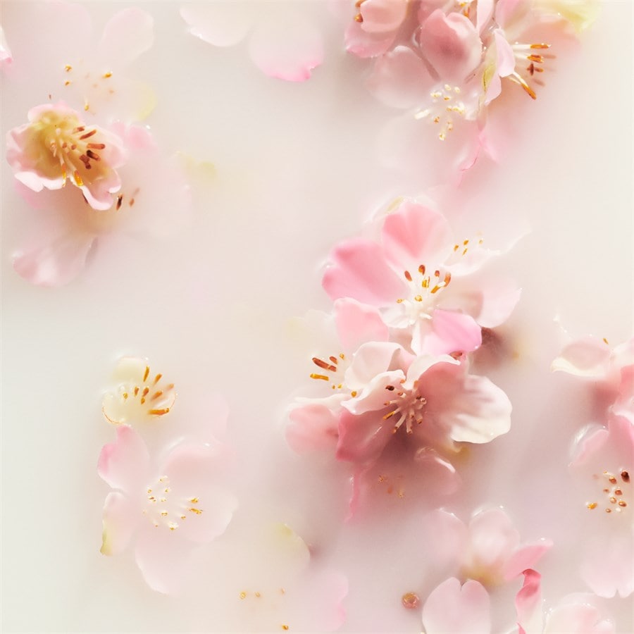 The Ritual Of Sakura Geschenkset von RITUALS Zeitlich begrenztes Angebot