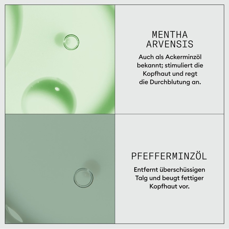 3D Expert Dermabrasion Scalp Renew Treatment von Nioxin Kostenloser Versand international