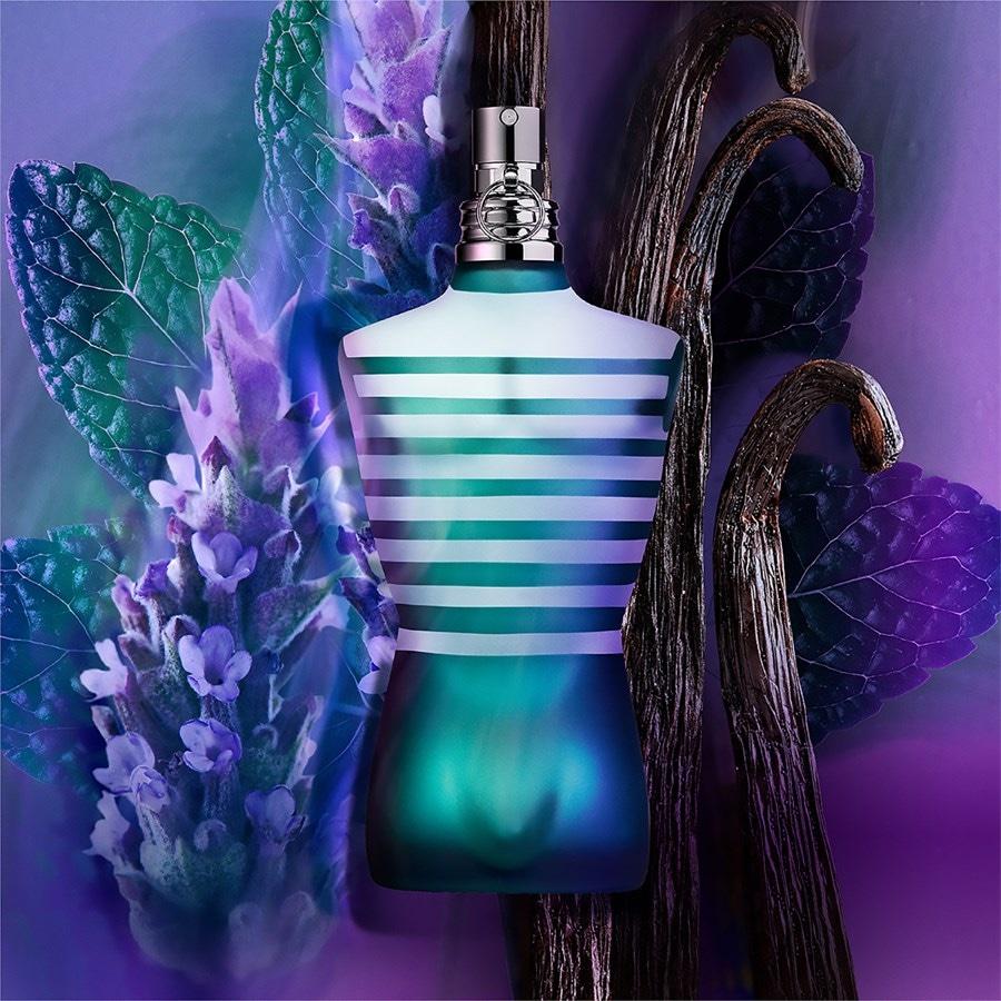 Jean Paul Gaultier Le Male Eau de Toilette Spray Online