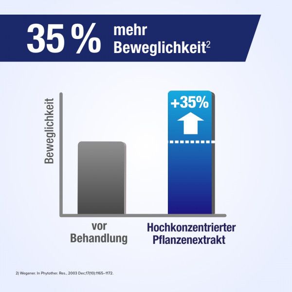 bodyguardapotheke GELENCIUM EXTRACT pflanzliche Filmtabletten Nur noch ein Tag übrig