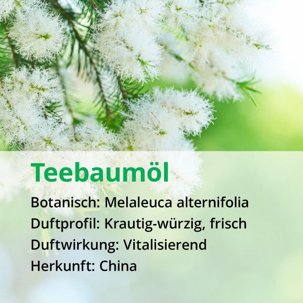 bodyguardapotheke TEEBAUM ÖL NATURREIN ätherisch Fabrikladen