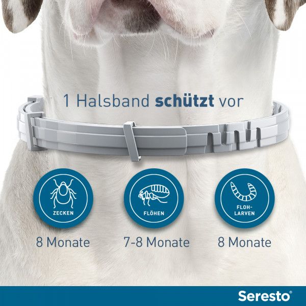 bodyguardapotheke SERESTO Halsband für kleine Hunde Im Verkauf