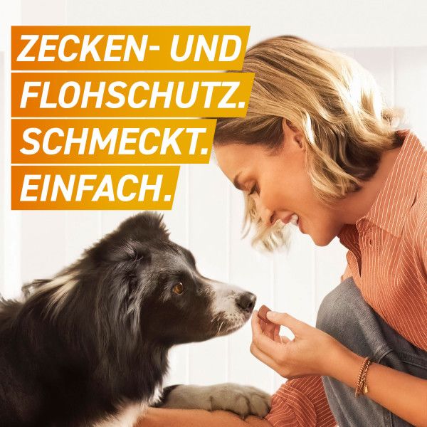 bodyguardapotheke FRONTPRO 68 mg Kautabletten f.Hunde >10-25 kg zollfrei