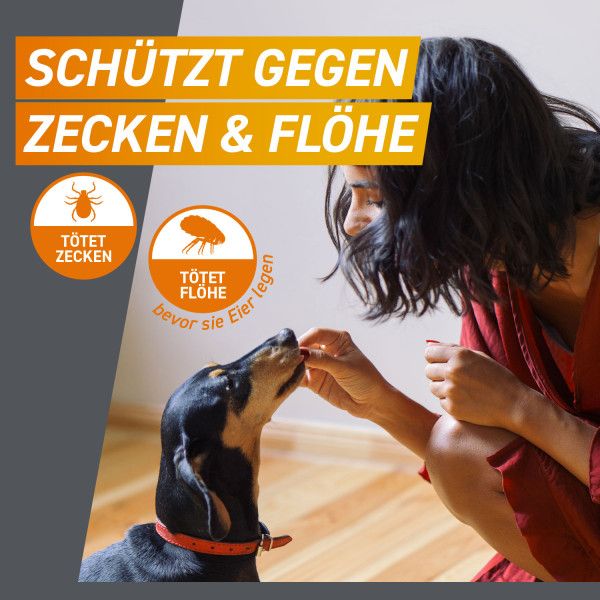 bodyguardapotheke FRONTPRO 136 mg Kautabletten f.Hunde >25-50 kg 50% Rabatt für begrenzte Zeit