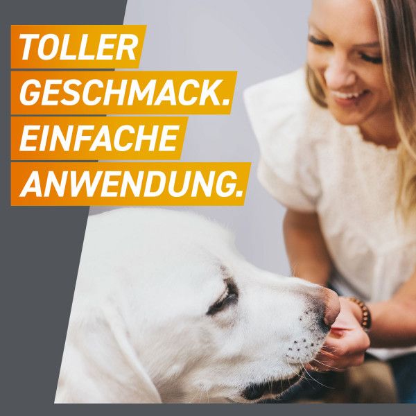 bodyguardapotheke FRONTPRO 136 mg Kautabletten f.Hunde >25-50 kg 50% Rabatt für begrenzte Zeit