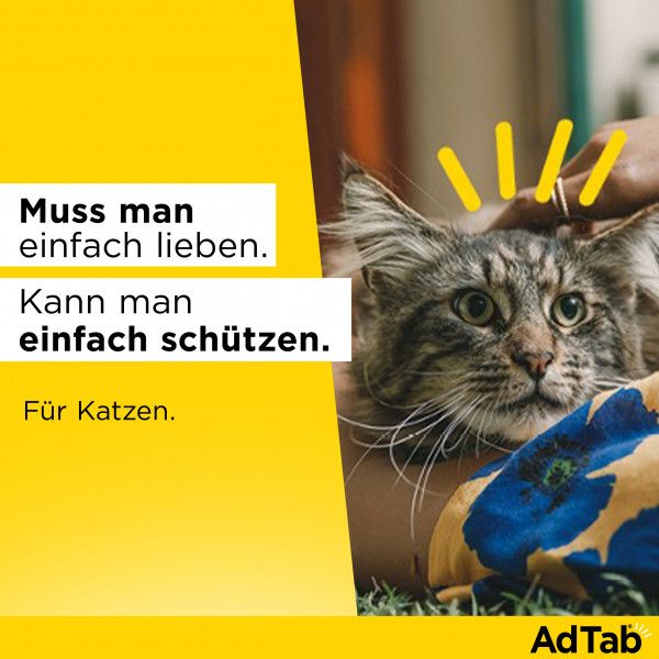 bodyguardapotheke ADTAB 48 mg Kautabletten für Katzen >2-8 kg 2025