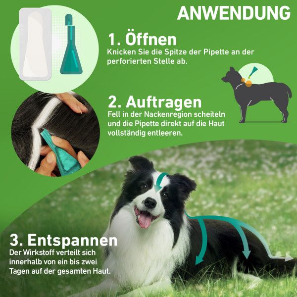 bodyguardapotheke FRONTLINE COMBO gegen Zecken Flöhe (Flöhe Eier Larven Puppen) für Hunde L Verkauf