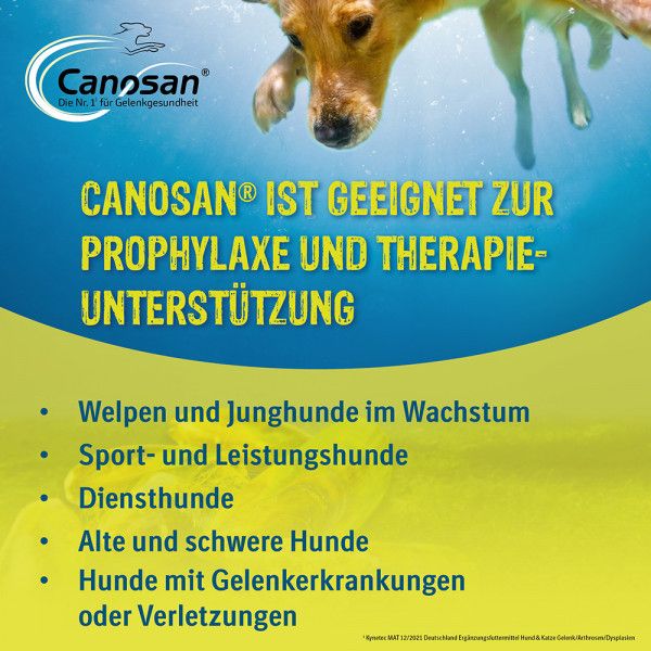 bodyguardapotheke CANOSAN Pellets bei Gelenkproblemen Hund mit Grünlippmuschel Extrakt Gonex Fabrikverkauf