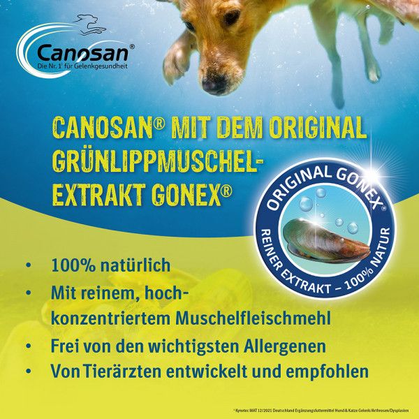 bodyguardapotheke CANOSAN Pellets bei Gelenkproblemen Hund mit Grünlippmuschel Extrakt Gonex Fabrikverkauf
