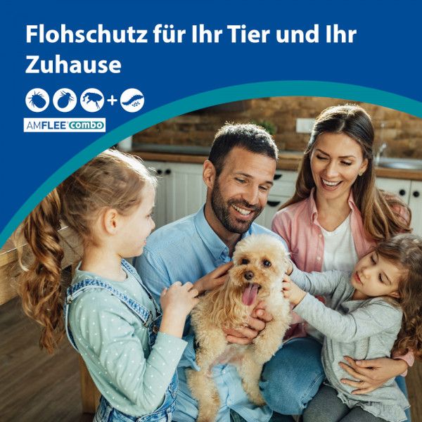 bodyguardapotheke AMFLEE combo 402/361 8mg Lsg.z.Auf.f.Hunde üb.40kg Kostenloser Versand
