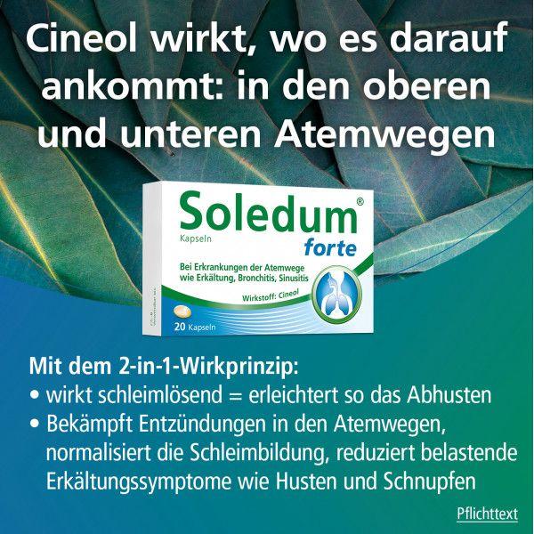 bodyguardapotheke SOLEDUM Kapseln forte 200 mg Bis zu 65% Rabatt
