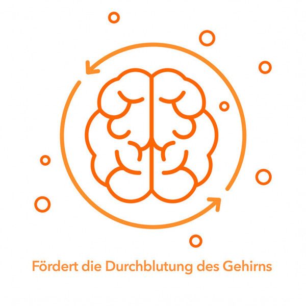bodyguardapotheke GINKOBIL-ratiopharm 240 mg Filmtabletten Nur für heute