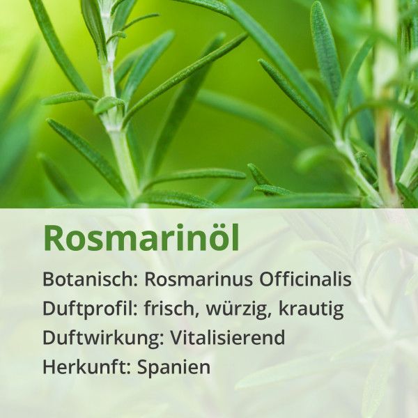 bodyguardapotheke ROSMARIN ÖL naturrein ätherisch Super Rabatt