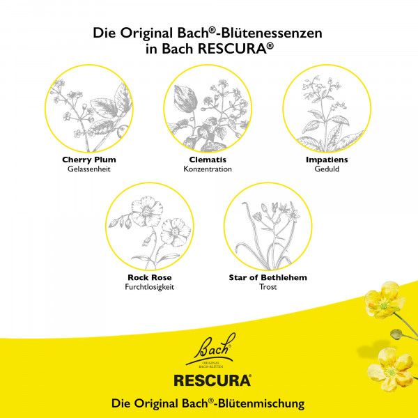 bodyguardapotheke Bach RESCURA® Tropfen mit Alkohol 10ml Speichern exportieren