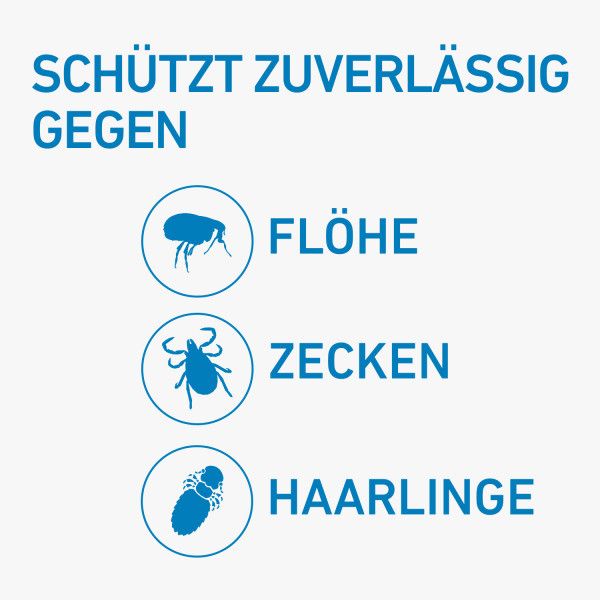 bodyguardapotheke FRONTLINE SPOT-ON gegen Zecken und Flöhe für Katzen Limitierter Zeitrabatt