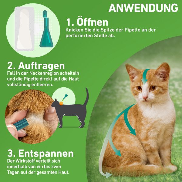 bodyguardapotheke FRONTLINE COMBO gegen Zecken Flöhe (Flöhe Eier Larven Puppen) für Katzen Fabrik Onlineshop