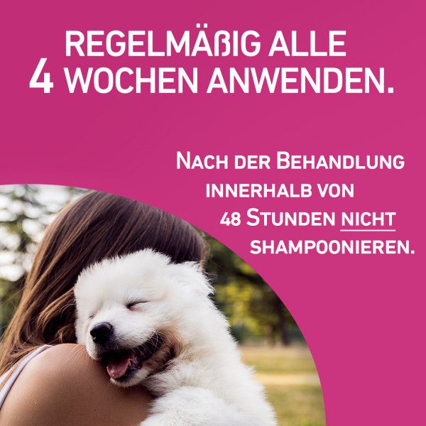 bodyguardapotheke FRONTLINE TRI-ACT gegen Zecken Flöhe und fliegende Insekten für Hunde L Sonderangebot