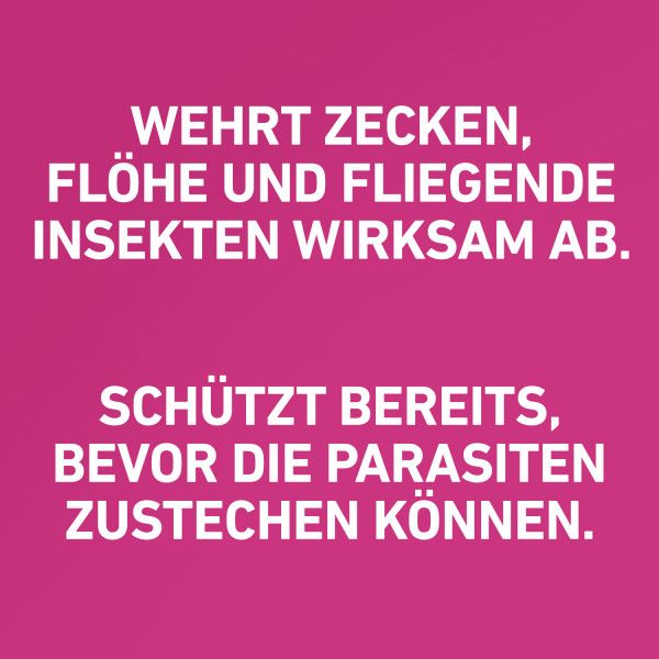 bodyguardapotheke FRONTLINE TRI-ACT gegen Zecken Flöhe und fliegende Insekten für Hunde XS Online Shopping