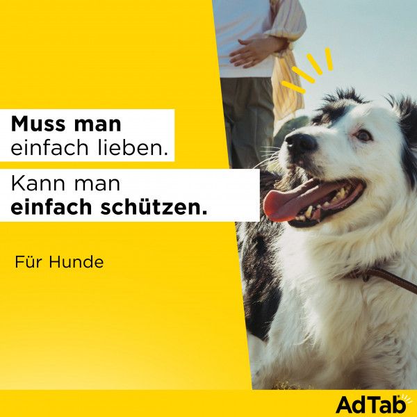 bodyguardapotheke ADTAB 56 mg Kautabletten für Hunde 1 3-2 5 kg Jubiläumsangebot