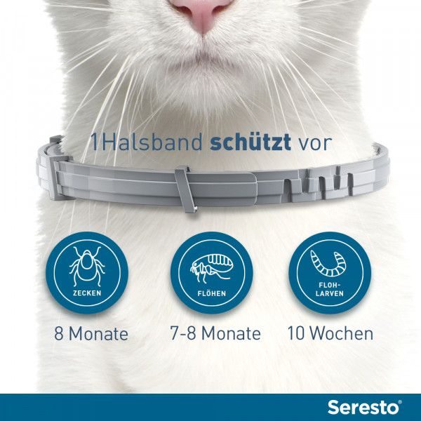 bodyguardapotheke SERESTO Halsband für Katzen Zeitlich begrenztes Angebot