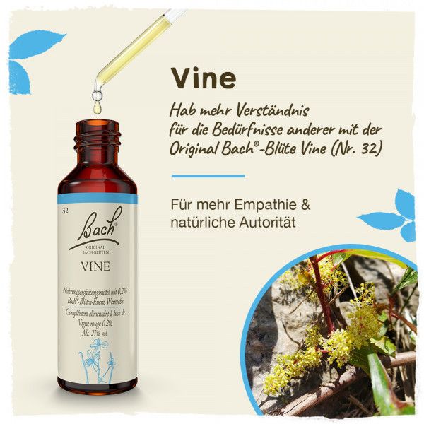 bodyguardapotheke Original Bachblüten Vine 20ml Blitzverkäufe