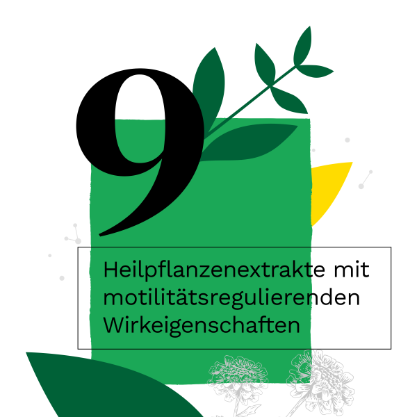 bodyguardapotheke IBEROGAST Classic Flüssigkeit zum Einnehmen bei funktionellen und motilitätsbedingten Magen-Darm-Beschwerden Tiefpreis