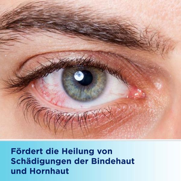 bodyguardapotheke BEPANTHEN Augen- und Nasensalbe Kostenlose Rückgabe