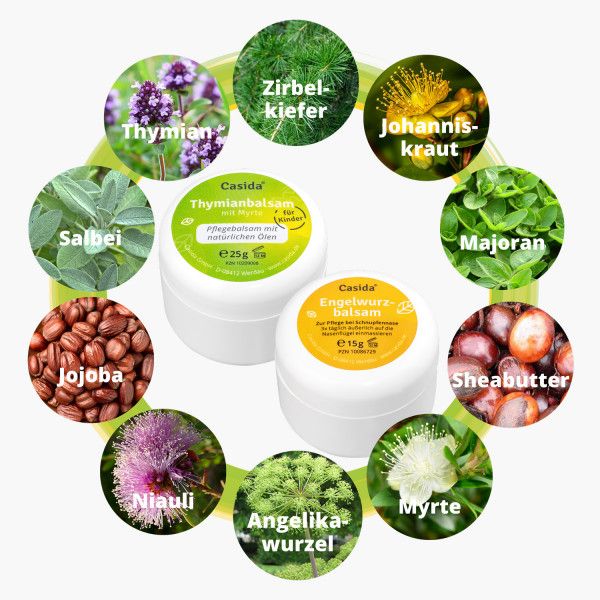 bodyguardapotheke ENGELWURZBALSAM & Thymianbalsam m.Myrte Kinder Set Auslauf
