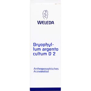 bodyguardapotheke BRYOPHYLLUM ARGENTO cultum D 2 Dilution Sonderangebot