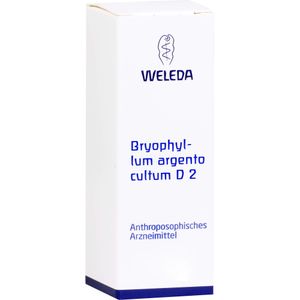 bodyguardapotheke BRYOPHYLLUM ARGENTO cultum D 2 Dilution Sonderangebot