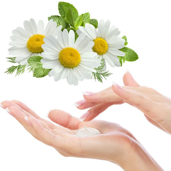 bodyguardapotheke BODYGUARDPHARM Handcreme Kamille Preisnachlass