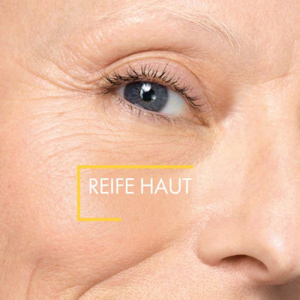 bodyguardapotheke VICHY NEOVADIOL Nachtcreme Nach den Wechseljahren Fabrik Onlineshop