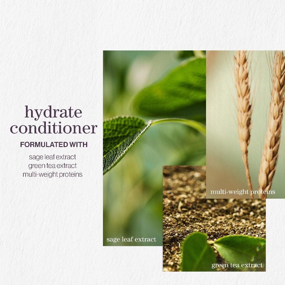 lookfantastic Pureology Hydrate Shampoo and Conditioner Moisturising Bundle for Dry Hair Sulphate Free for a Gentle Cleanse Cyber Monday