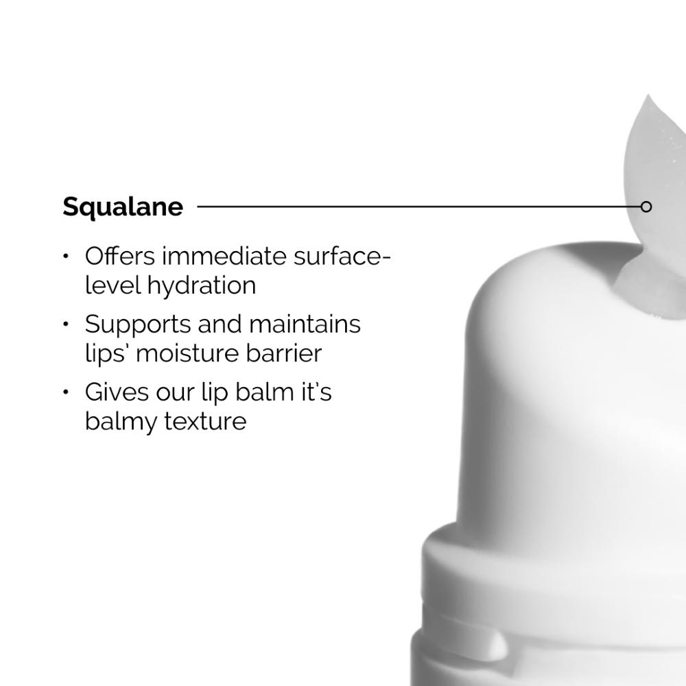 lookfantastic The Ordinary Squalane and Amino Acids Lip Balm 15ml Vatertagsangebot