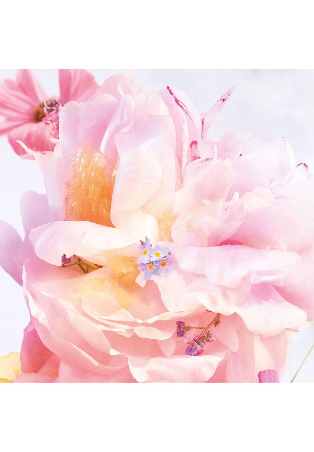 DIOR MISS DIOR BLOOMING BOUQUET EAU DE TOILETTE Letzte 2 Tage
